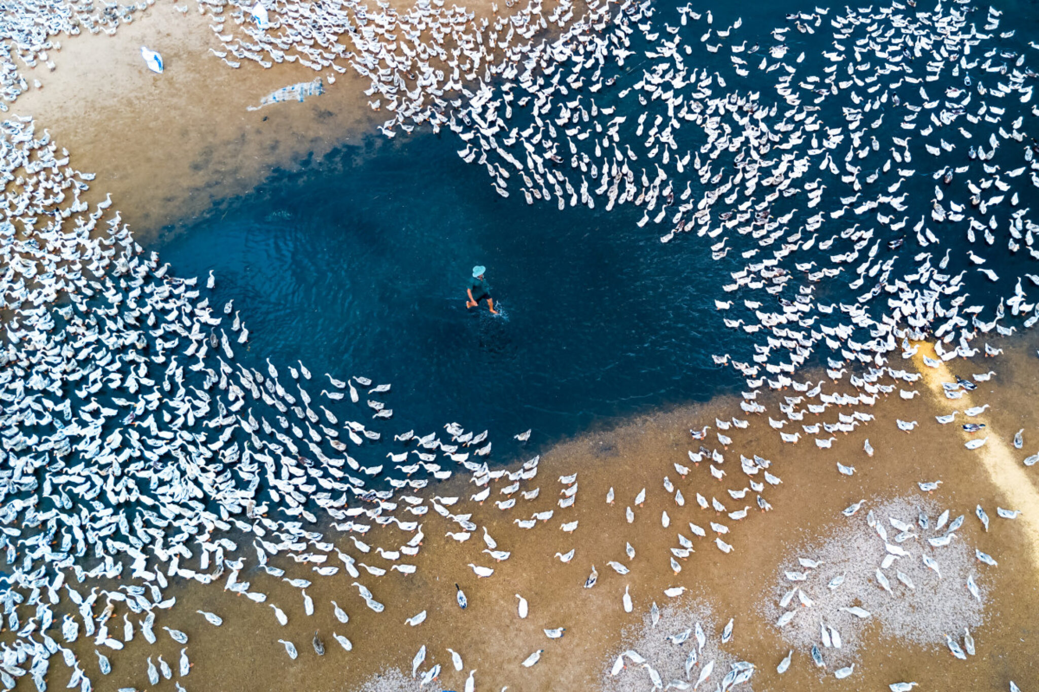 Лучшие фото людей с дрона