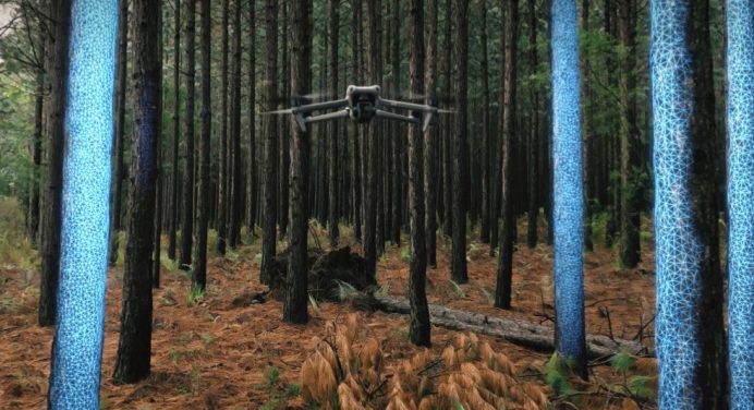 Достоинства и преимущества DJI Air 3 – невероятные возможности компактного дрона