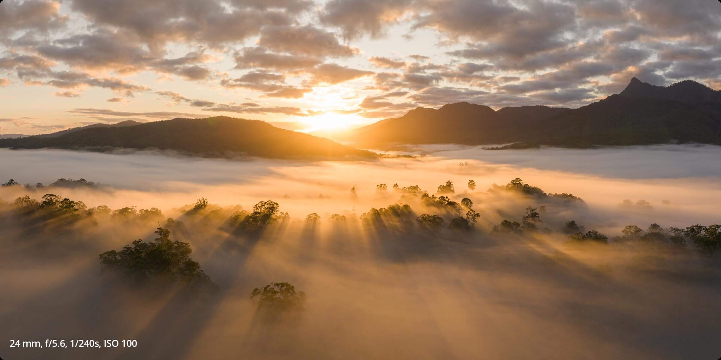 89845c4a829e3654f410e765a87a040f