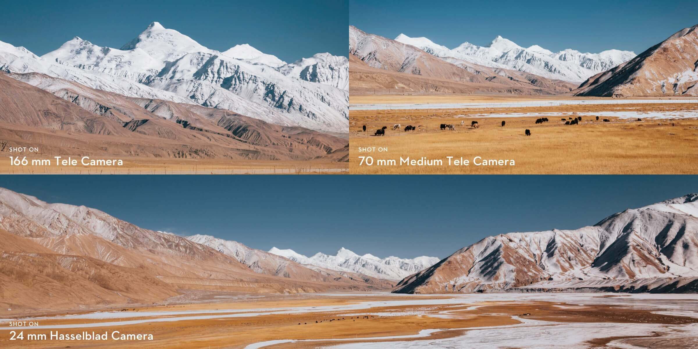 e514161a2c2aea4bd65929ea9764073d mavic-3-pro-medium-tele-camera-shot-on