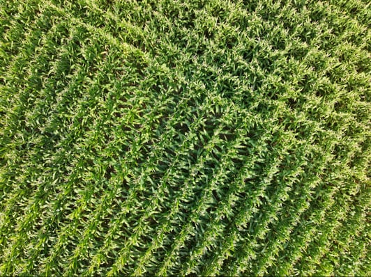 image16 image16