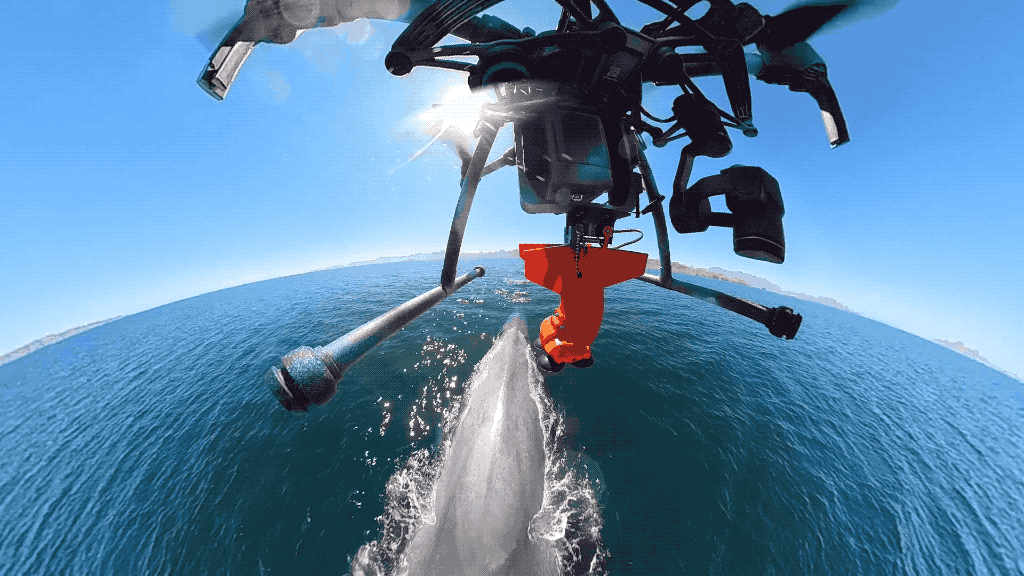 36020drop20gif 360 Drop Gif